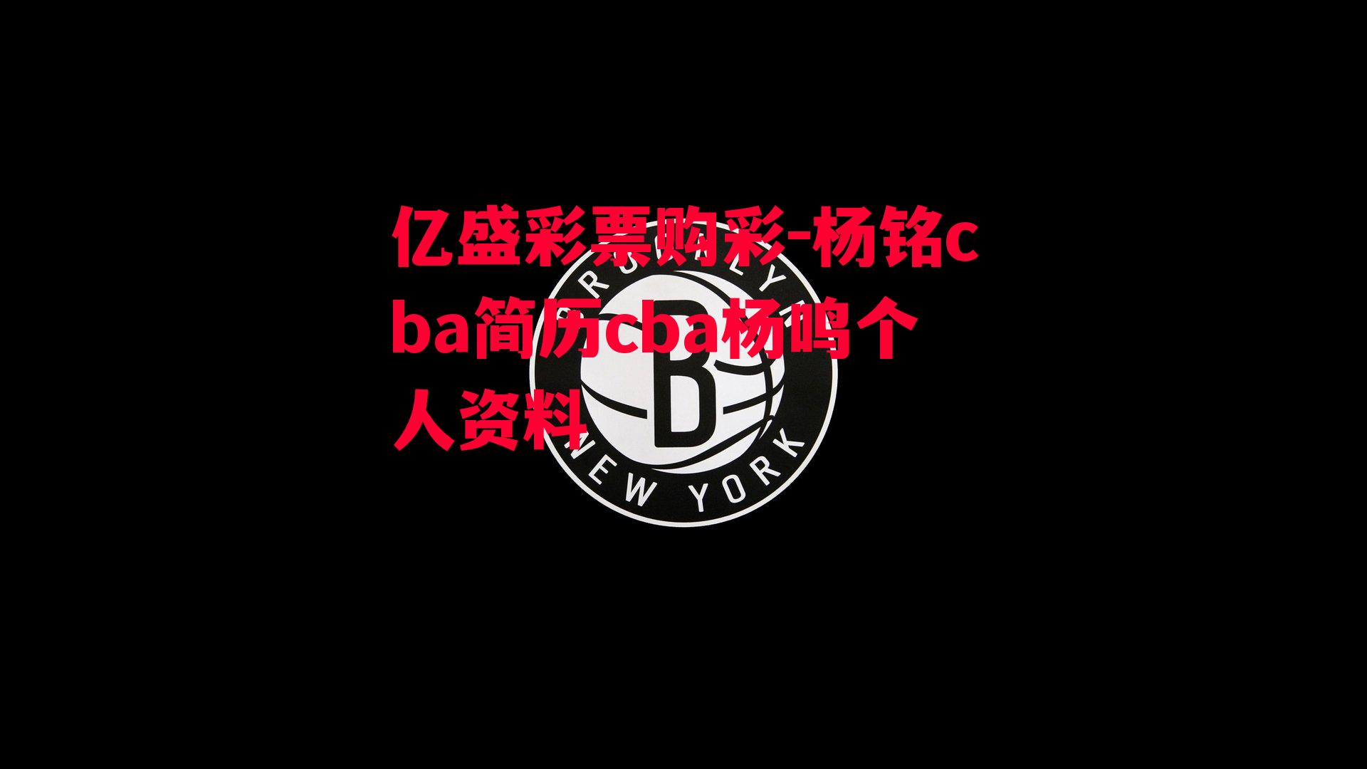 杨铭cba简历cba杨鸣个人资料